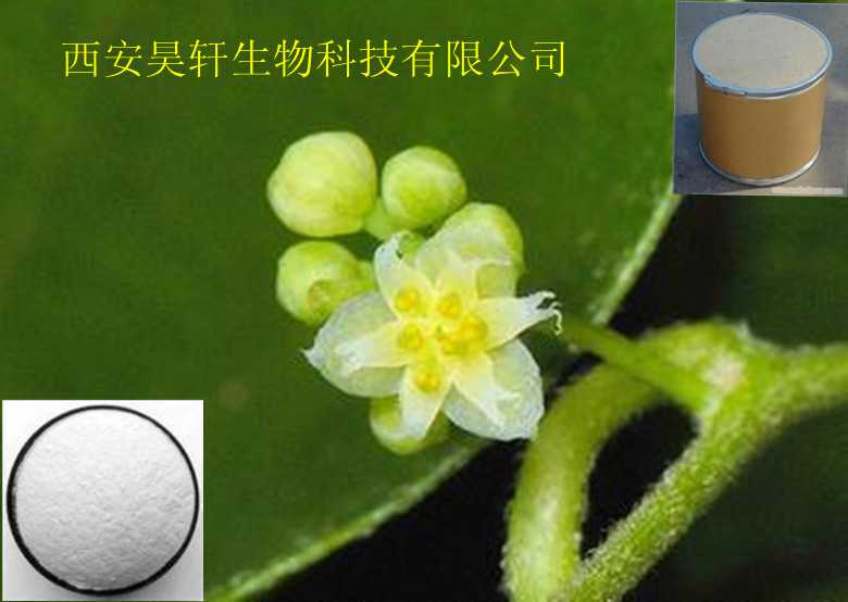 汉防己甲素