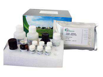 人糖化血红蛋白A1c(GHbA1c)ELISA试剂盒
