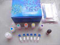 人补体1q（C1q）ELISA试剂盒