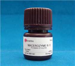 离析酶R-10；MacerozymeR-10；9032-75-1