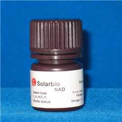 氧化型辅酶Ⅰ；NAD；