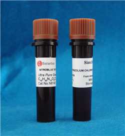 氯化销基四氮唑兰；NBT；0329；298-83-9
