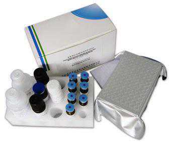 人凝血因子Ⅹ(FⅩ)ELISA试剂盒