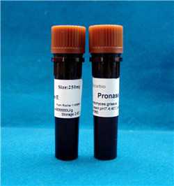链霉蛋白酶E；PronaseE；165921；9036-06-0