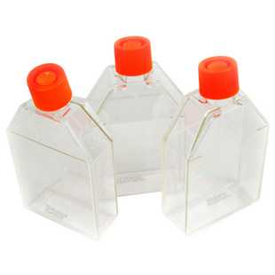 美国Corning正方斜口 细胞培养瓶（430168）