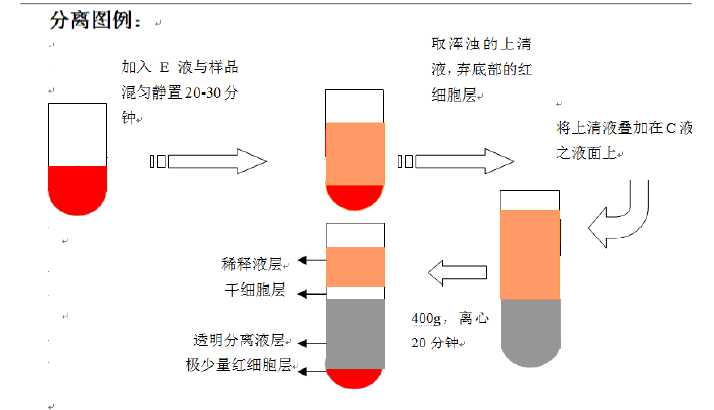 各种动物脊髓干细胞分离液试剂盒