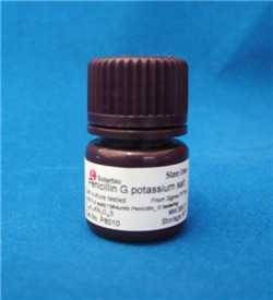 青霉素G钾盐；P8010；113-98-4