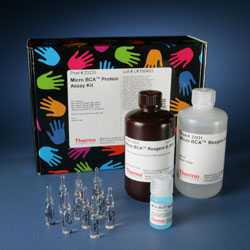 Micro BCA Protein Assay Kit