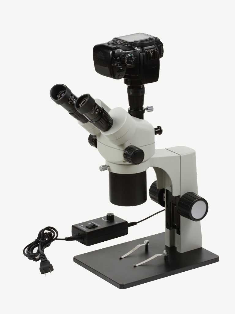 体式显微镜--连续变倍