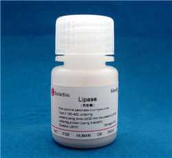 脂肪酶；Lipase；L3126;9001-62-1