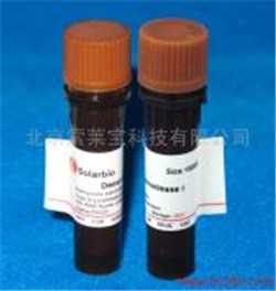 脱氧核糖核酸酶;RQ1 RNase-Free DNase;Promega M6101