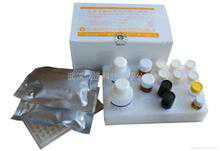 犬白介素8（IL-8/CXCL8）ELISA 试剂盒