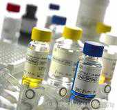 细胞因子 Recombinant Human TNF-α