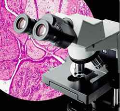奥林巴斯CX31正置显微镜