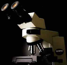 奥林巴斯CX41正置显微镜