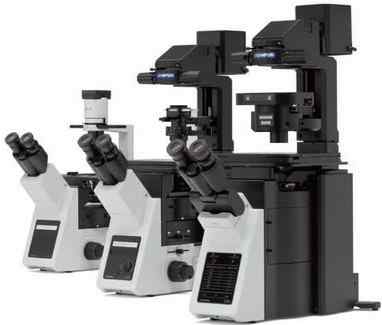 奥林巴斯IX3系列倒置显微镜