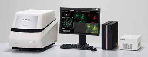奥林巴斯智能激光扫描共聚焦显微镜 FV10i