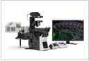 奥林巴斯新一代激光扫描共聚焦显微镜FV1200