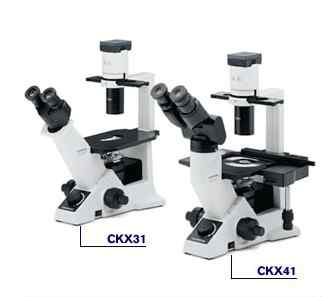 奥林巴斯CKX系列倒置显微镜