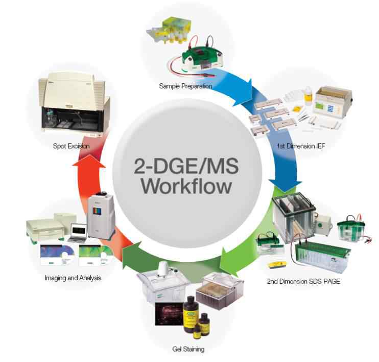 全套蛋白质组研究设备、分析软件