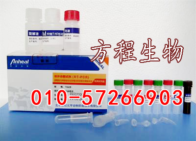 小鼠总胆固醇 ELISA检测/小鼠TC ELISA Kit