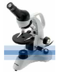 实验室显微镜--ECOVISION