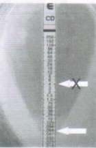 https://msimg.bioon.com/bionline/goods-no-pic.png