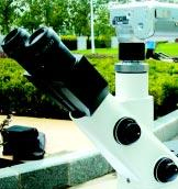 倒置显微镜，XD-202生物显微镜