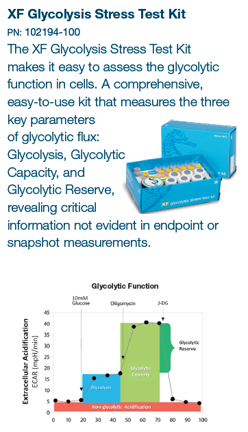 XF Glycolysis Stress Test Kit（糖酵解应力测试试剂盒）
