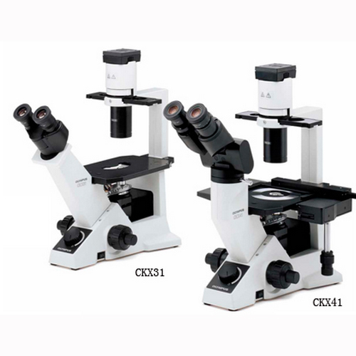 倒置显微镜，CKX31倒置显微镜
