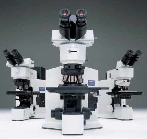 BX51M显微镜
