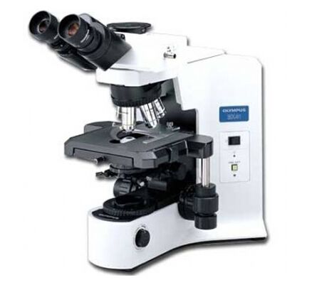 CX41显微镜