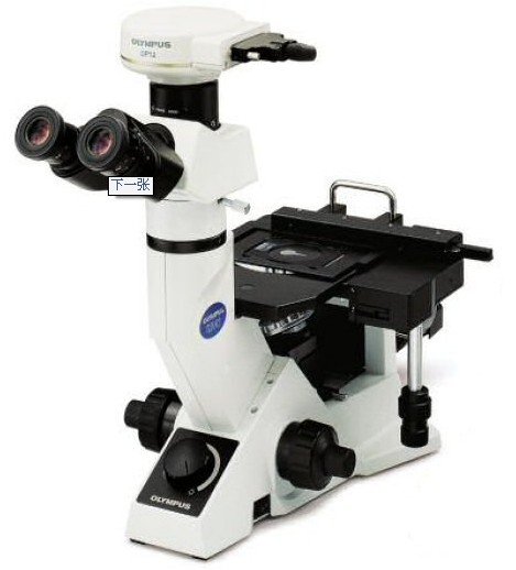 GX41显微镜