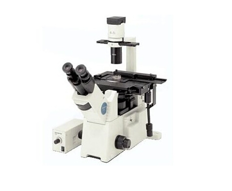 IX53显微镜