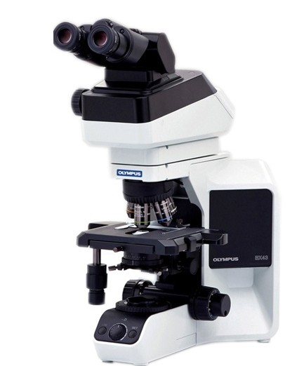 BX43显微镜