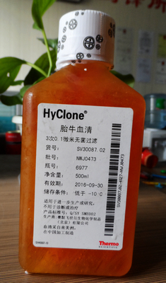 HyClone胎牛血清500ml南美SV30087.02