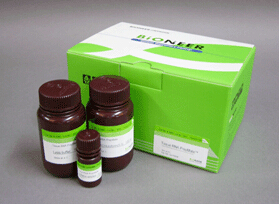 RNA提取试剂盒