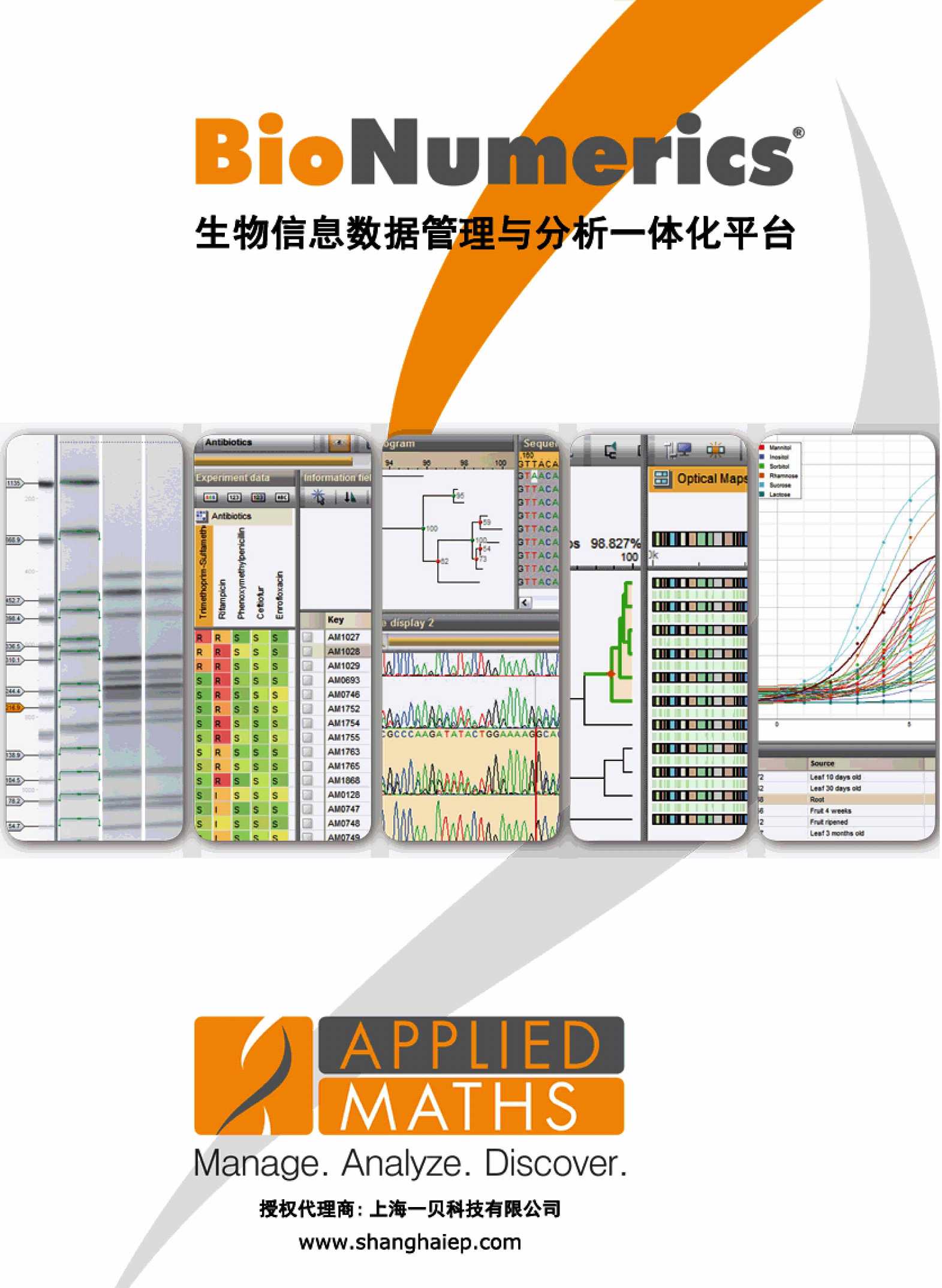 BN分析软件