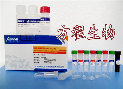 人激肽释放酶10 ELISA Kit/人KLK 10 ELISA试剂盒检测