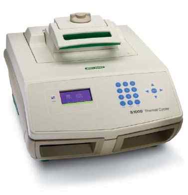 S1000 384孔PCR 仪
