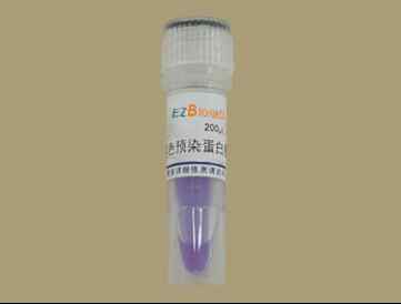 Precise  Protein M.W Marker  (unstained)