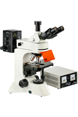 TL3201落射B/G荧光显微镜