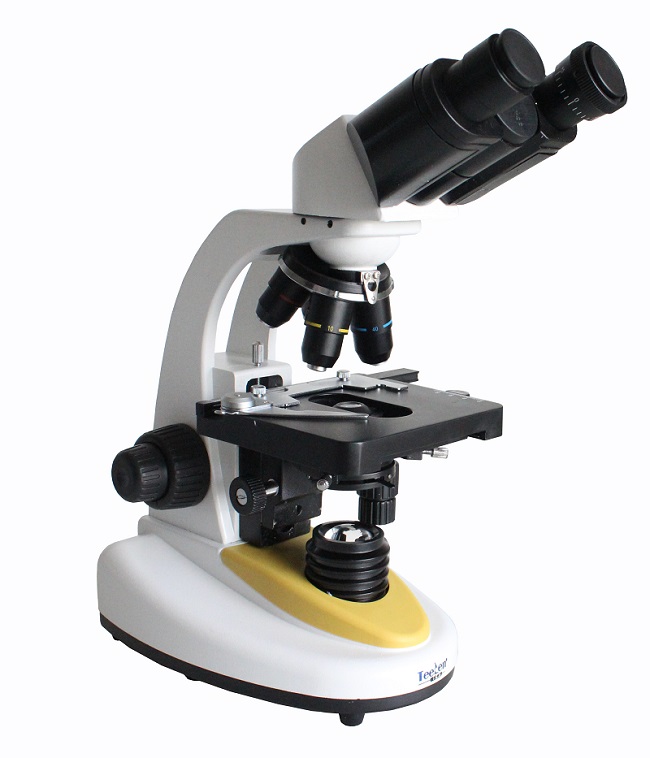 双目生物显微镜XSP-2CA