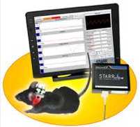 STARR MouseOx Plus小鼠脉搏血氧仪，小鼠监护