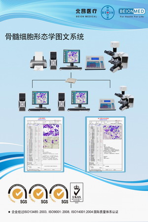 骨髓细胞形态学图文分析系统