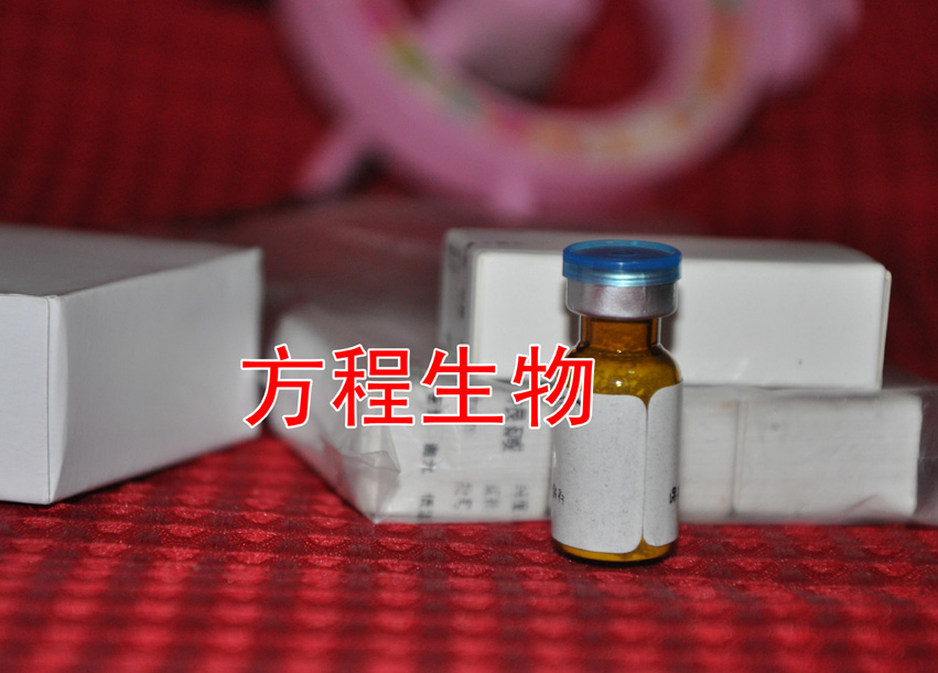 三七总皂苷（UV95%）标准品