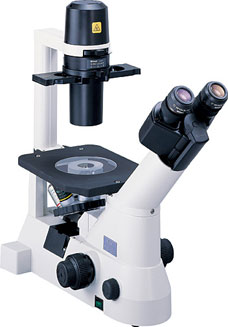 常规倒置显微镜 TS100