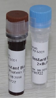 立显蛋白电泳条带显色剂（预制胶）