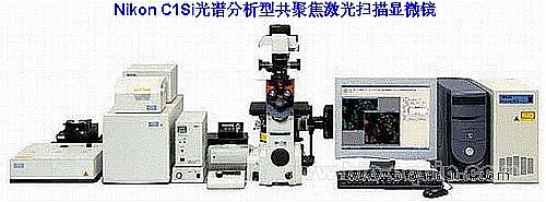 高速全光谱激光共聚焦显微镜A1RSi