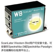 ScanLater Western Blot 检测系统